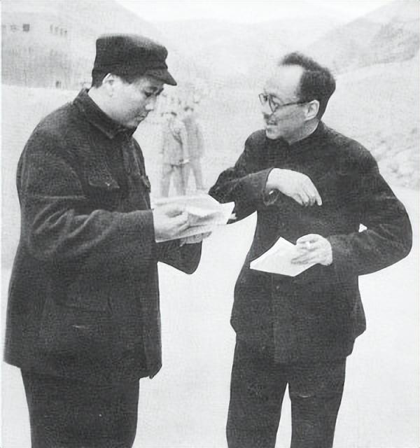 红卫兵运动_红卫兵运动结束时间_红卫兵运动名词解释