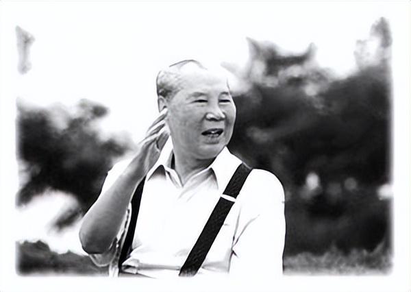 红卫兵运动_红卫兵运动名词解释_红卫兵运动结束时间