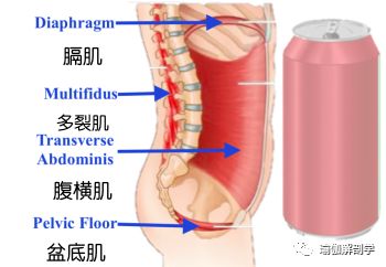 腰痛宁_亚健康腰痛_腰痛治疗方法