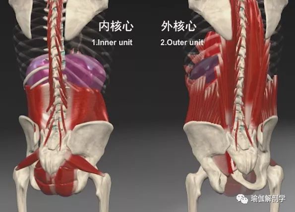 腰痛宁_腰痛治疗方法_亚健康腰痛