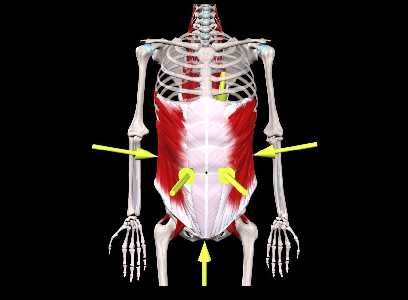 腰痛治疗方法_腰痛宁_亚健康腰痛