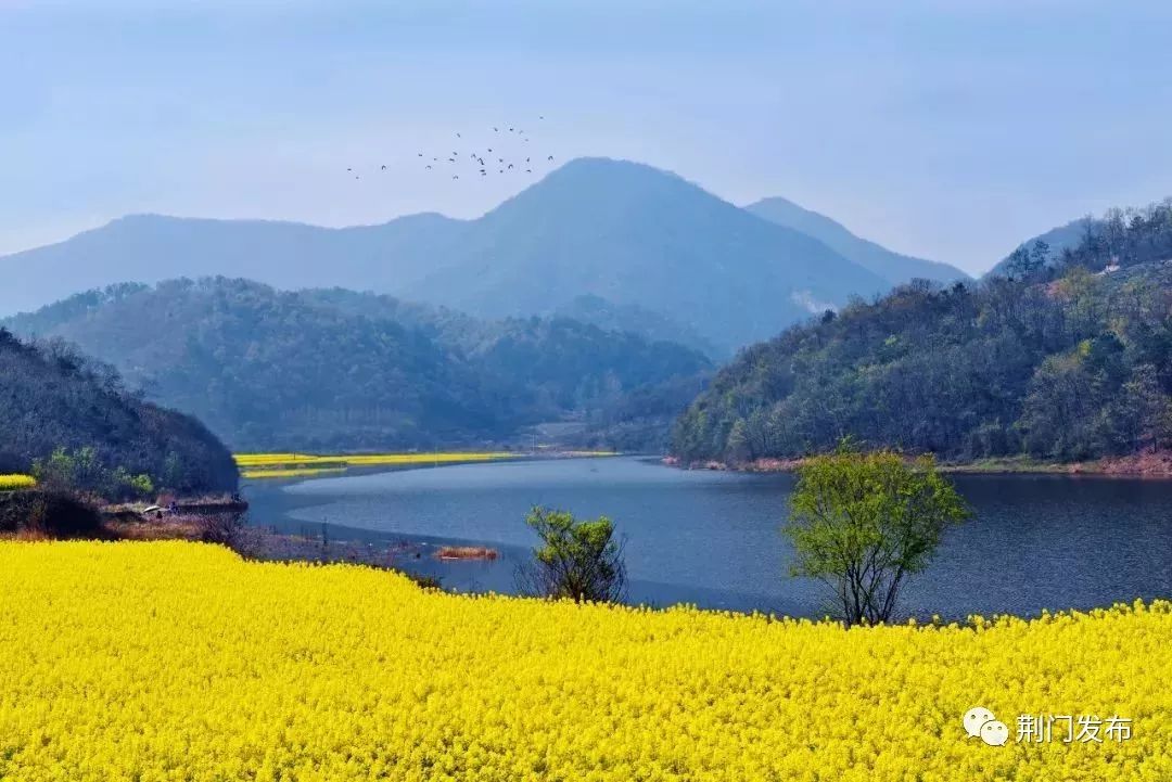沙湖马拉松_沙洋国际马拉松_沙洋马拉松成绩查询