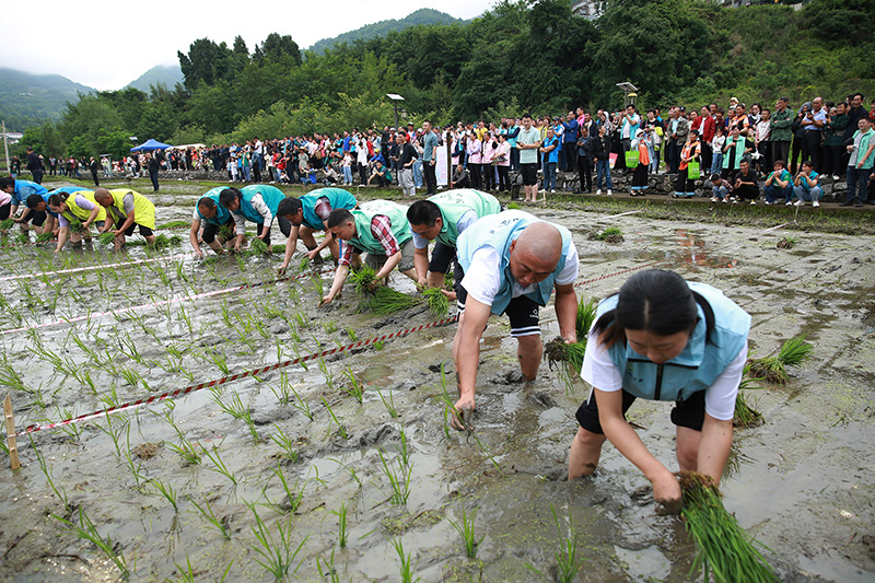 农民趣味运动会_农民趣味运动会有哪些项目_农民趣味运动会总结