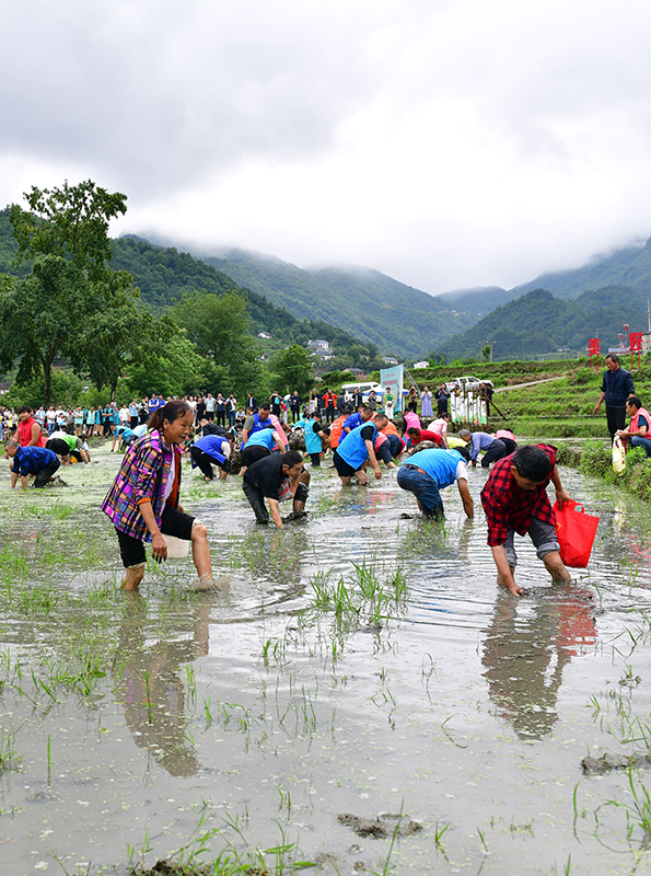 农民趣味运动会总结_农民趣味运动会有哪些项目_农民趣味运动会